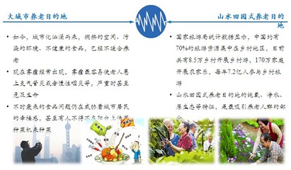 养老地产规划咨询