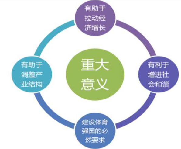 2017年冰雪产业市场调研分析报告